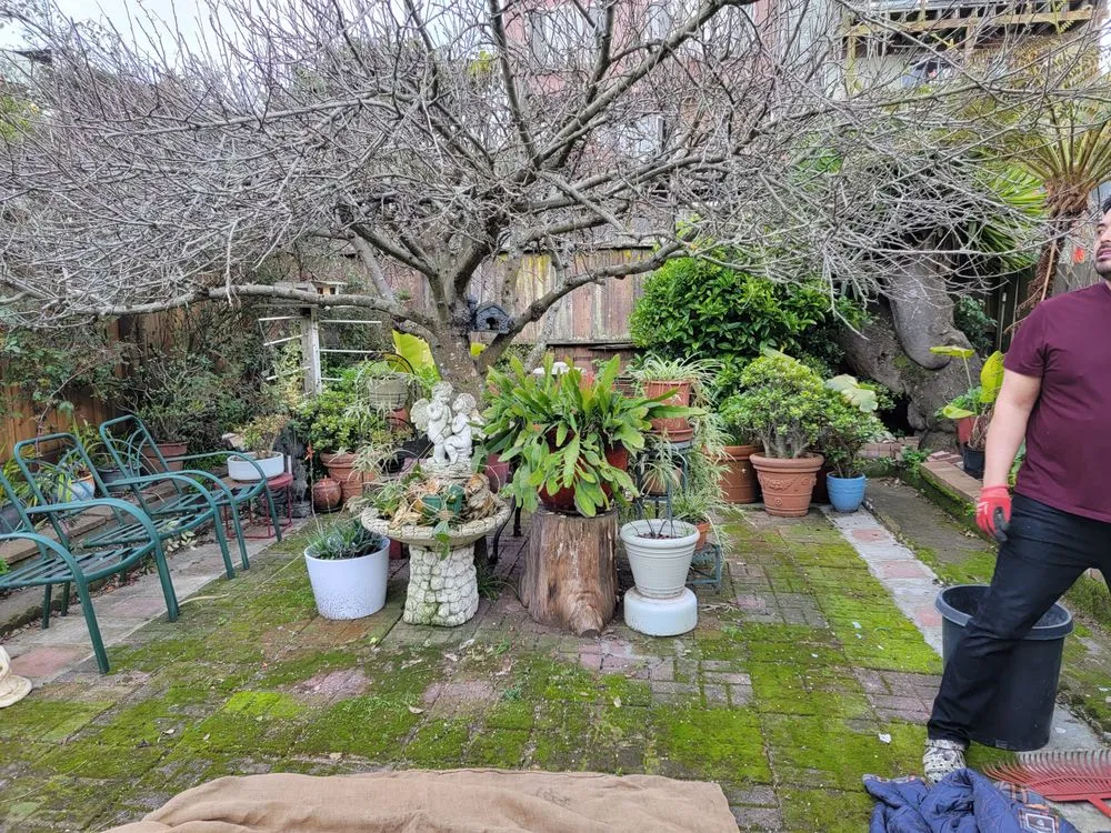 Local landscape installation in San Francisco, CA by Geologic Landscapes