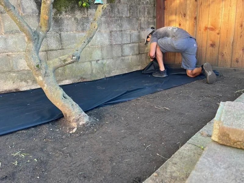 Expert yard maintenance for residential properties in San Francisco, CA by Geologic Landscapes