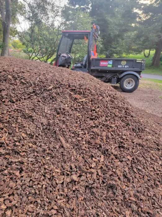 Expert lawn mowing service in San Francisco, CA - Geologic Landscapes