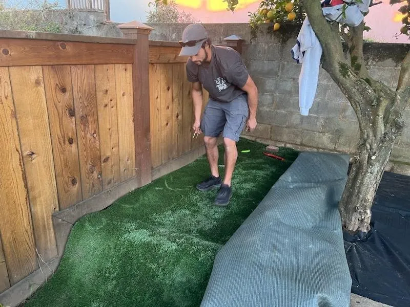 Custom yard cleanup service in San Francisco, CA by Geologic Landscapes