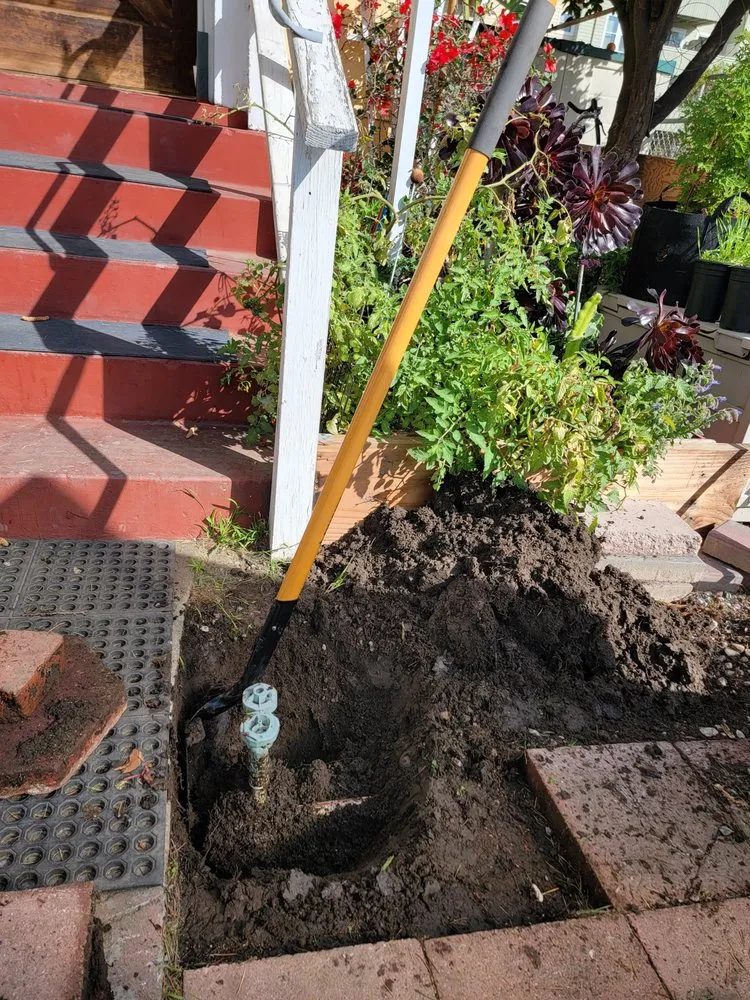 Local yard cleanup service with custom design in San Francisco, CA by Geologic Landscapes
