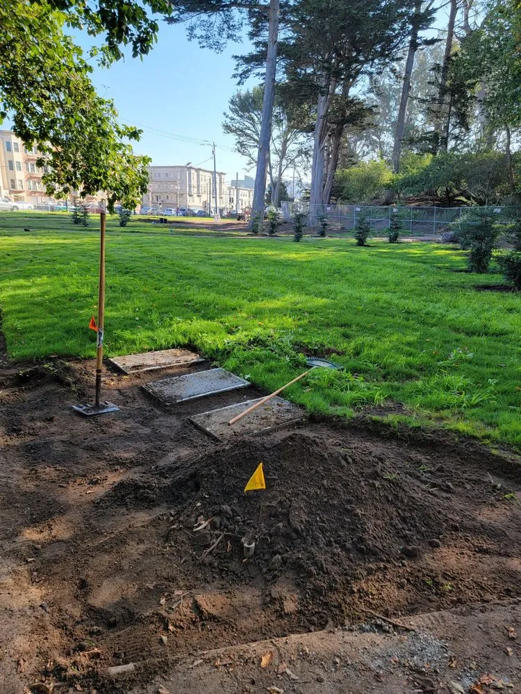 Professional lawn care service in San Francisco, CA - Geologic Landscapes