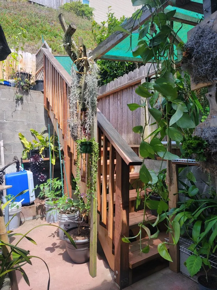 Expert yard cleanup service in San Francisco, CA by Geologic Landscapes