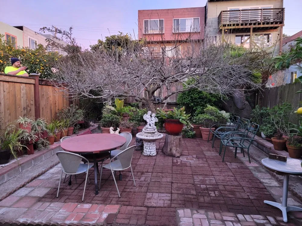 Reliable lawn care service in San Francisco, CA - Geologic Landscapes