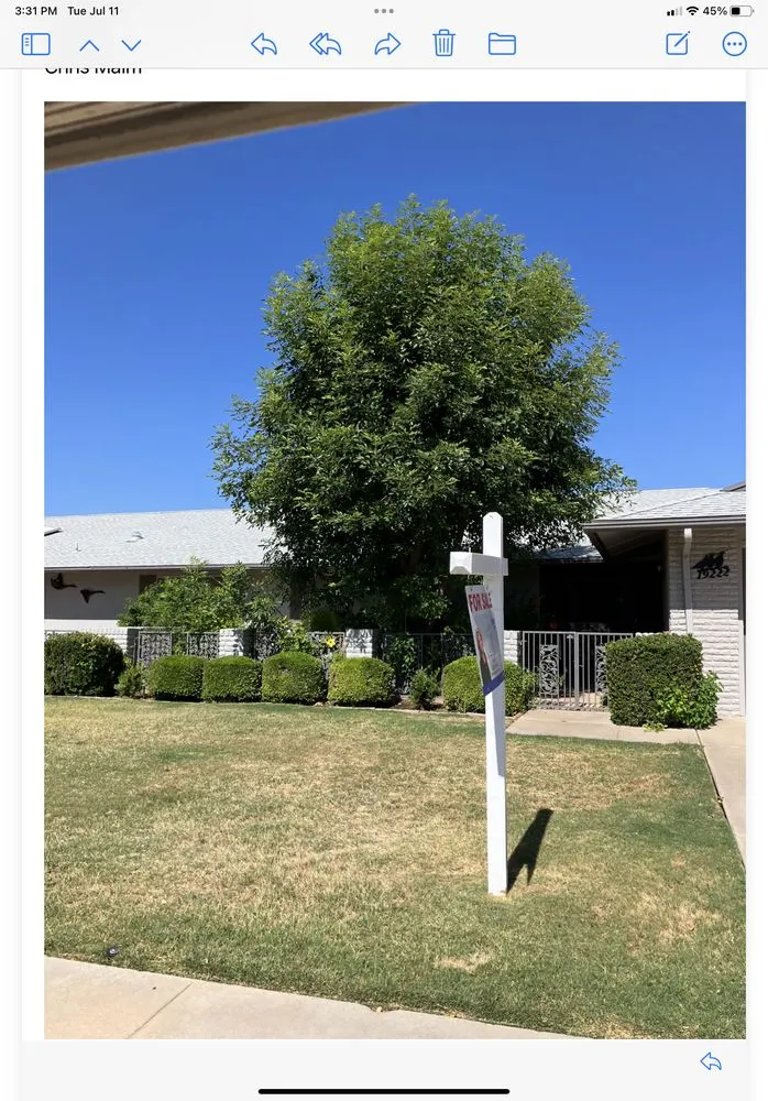 Affordable outdoor landscaping in Glendale, AZ by George & Son's Landscaping