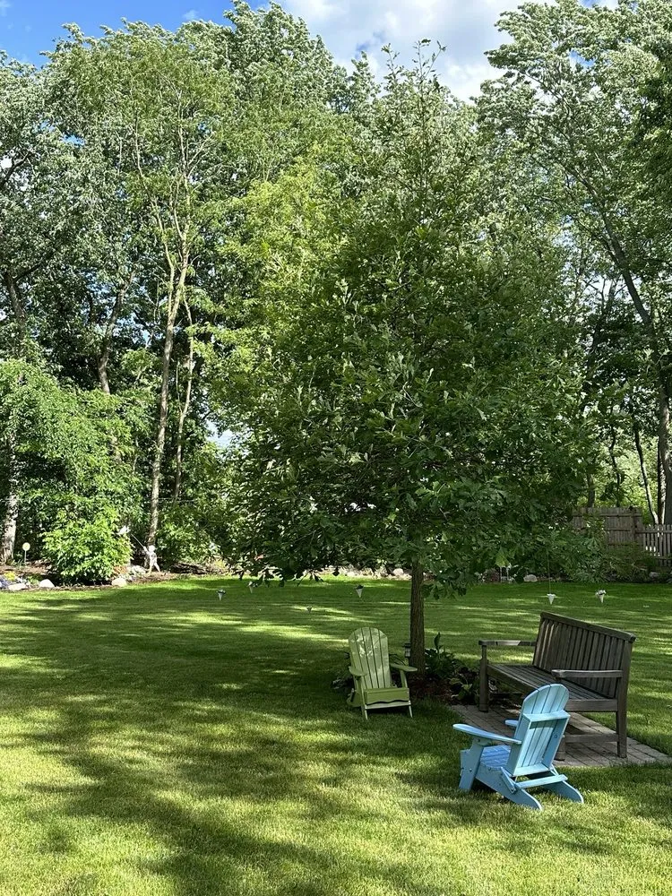 Trusted yard maintenance for residential properties in Northbrook, IL by George Cardenas Landscape Design