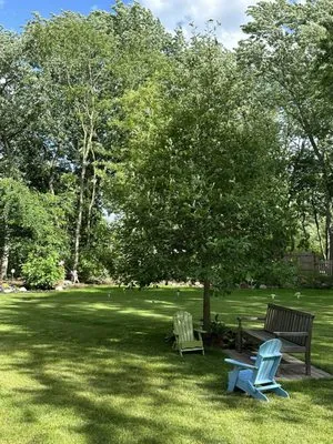 George Cardenas Landscape Design