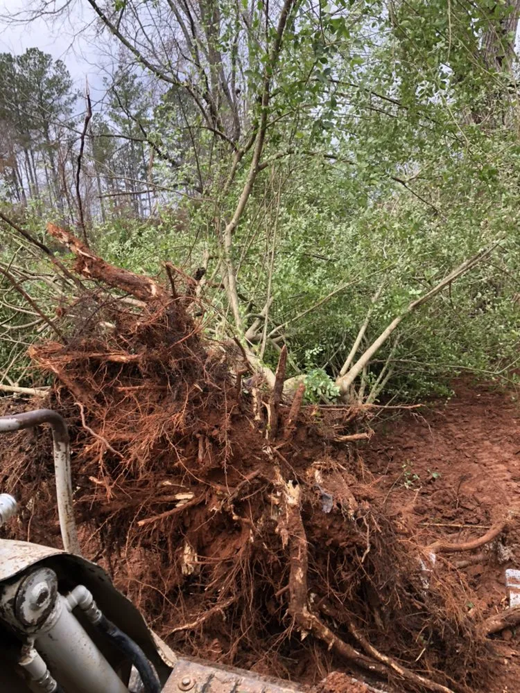 Expert landscape installation in Laurens, SC - George Ellis Environmental Consulting Firm