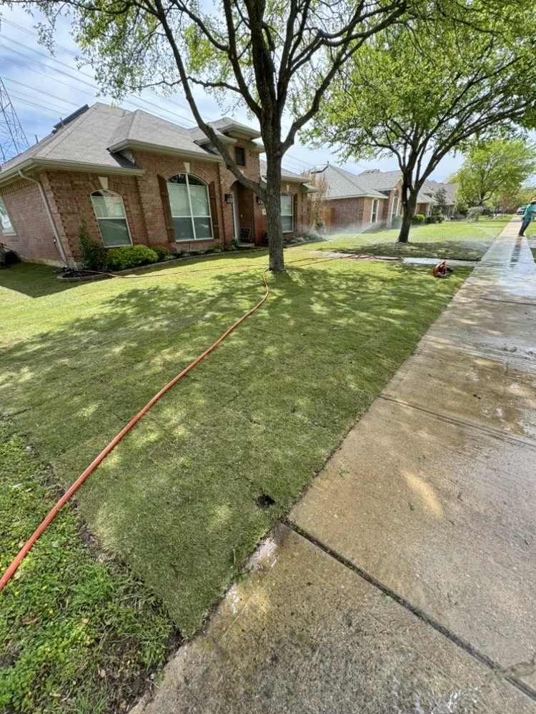 Local landscape installation for homes across Whitewright, TX - George Lawn Service