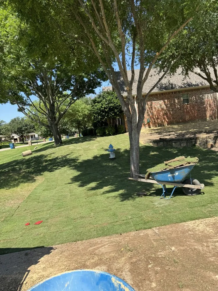 Top-rated landscaping services in Whitewright, TX - George Lawn Service