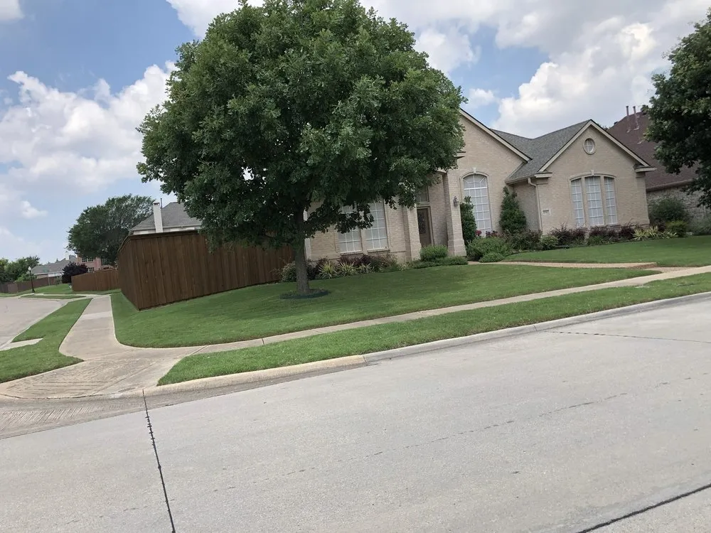 Affordable yard cleanup service experts serving Whitewright, TX - George Lawn Service