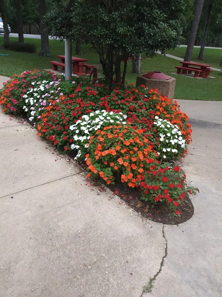 Expert lawn mowing service in Pensacola, FL by George Scott Fencing Lawn & Maintenance Service