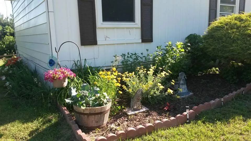 Affordable landscaping services for beautiful yards across Pensacola, FL - George Scott Fencing Lawn & Maintenance Service