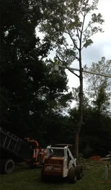 Reliable residential landscaping for beautiful yards across Rockwell, NC - George Stirewalt Landscaping