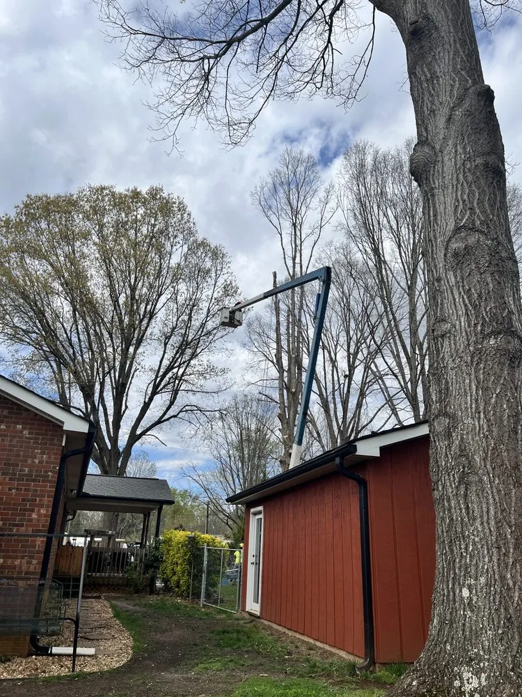 Trusted landscape installation in Rockwell, NC by George Stirewalt Tree Service