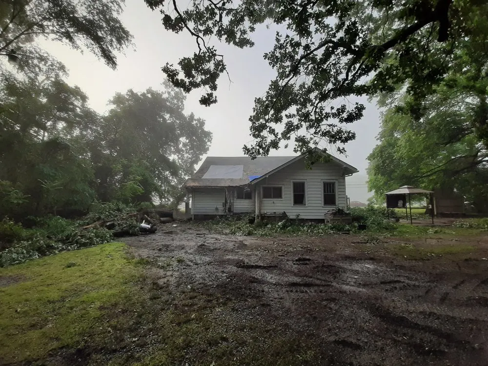 Custom lawn care service experts serving Rockwell, NC - George Stirewalt Tree Service