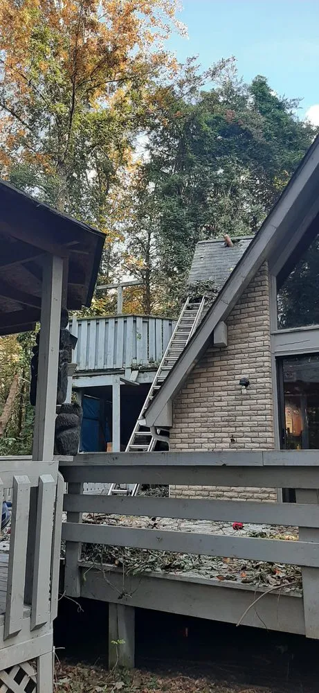 Local yard cleanup service experts serving Rockwell, NC - George Stirewalt Tree Service