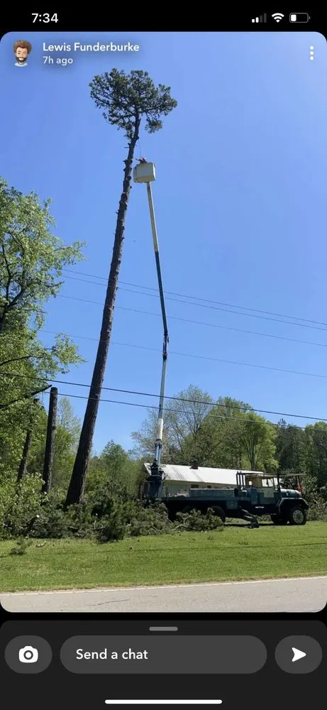 Local landscaping services with custom design across Rockwell, NC - George Stirewalt Tree Service