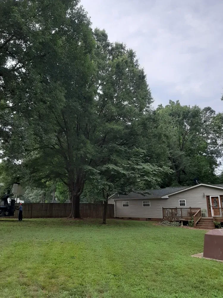 Top-rated landscaping services experts serving Rockwell, NC - George Stirewalt Tree Service