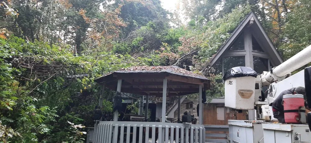 Affordable outdoor landscaping experts serving Rockwell, NC - George Stirewalt Tree Service