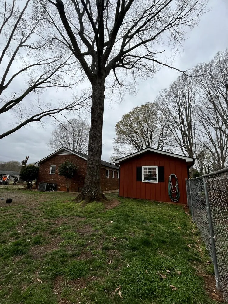 Professional outdoor landscaping experts serving Rockwell, NC - George Stirewalt Tree Service