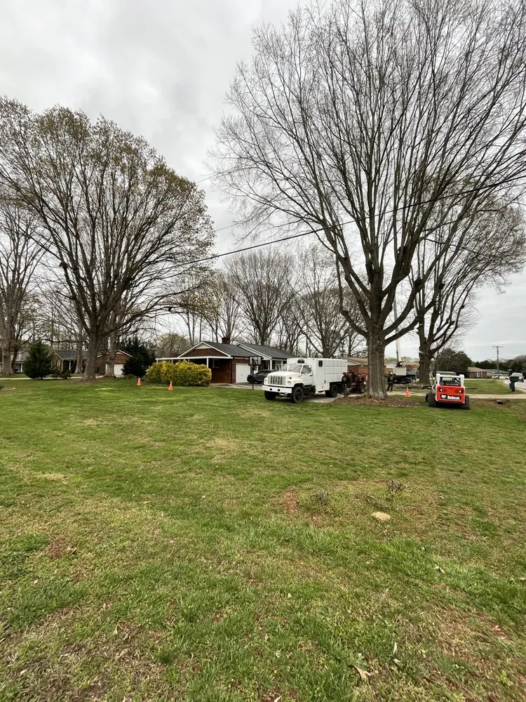 Custom landscape installation near you across Rockwell, NC - George Stirewalt Tree Service