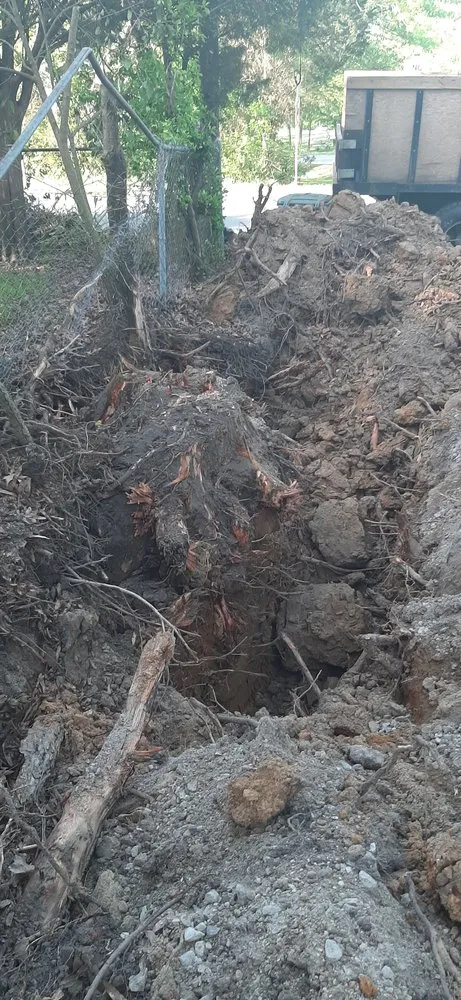 Trusted lawn mowing service in Rockwell, NC by George Stirewalt Tree Service