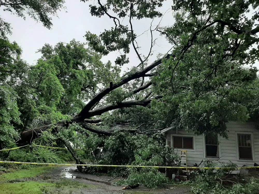 Custom residential landscaping in Rockwell, NC - George Stirewalt Tree Service