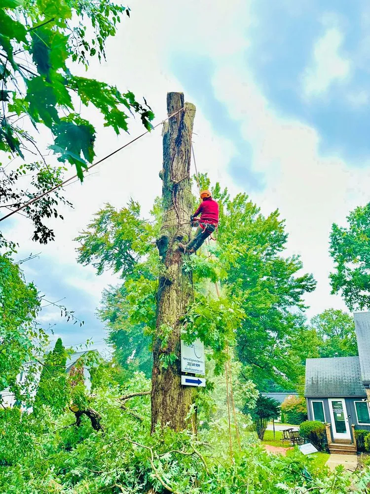 Local garden landscaping in Danbury, CT - George Tree Services