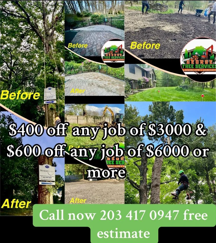 Expert lawn mowing service for beautiful yards in Danbury, CT by George Tree Services