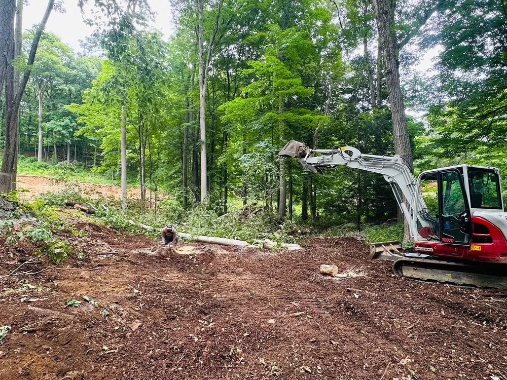 Custom residential landscaping for year-round maintenance across Danbury, CT - George Tree Services