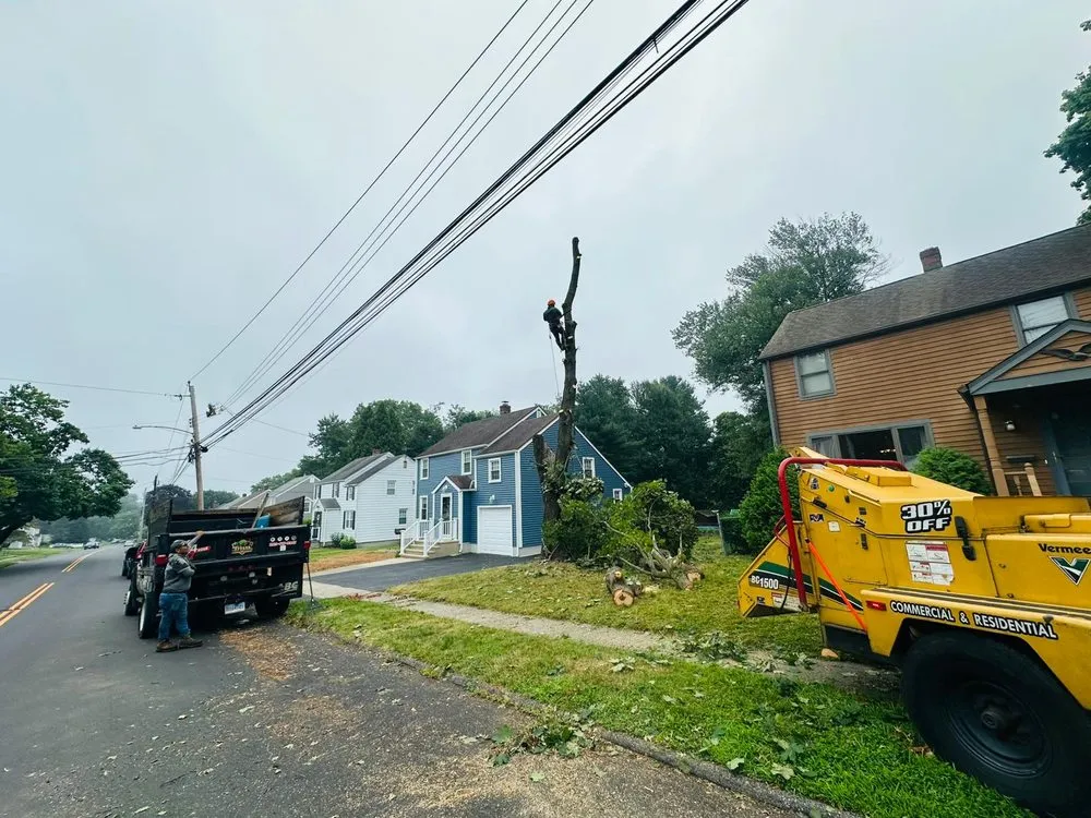 Professional outdoor landscaping with custom design in Danbury, CT by George Tree Services