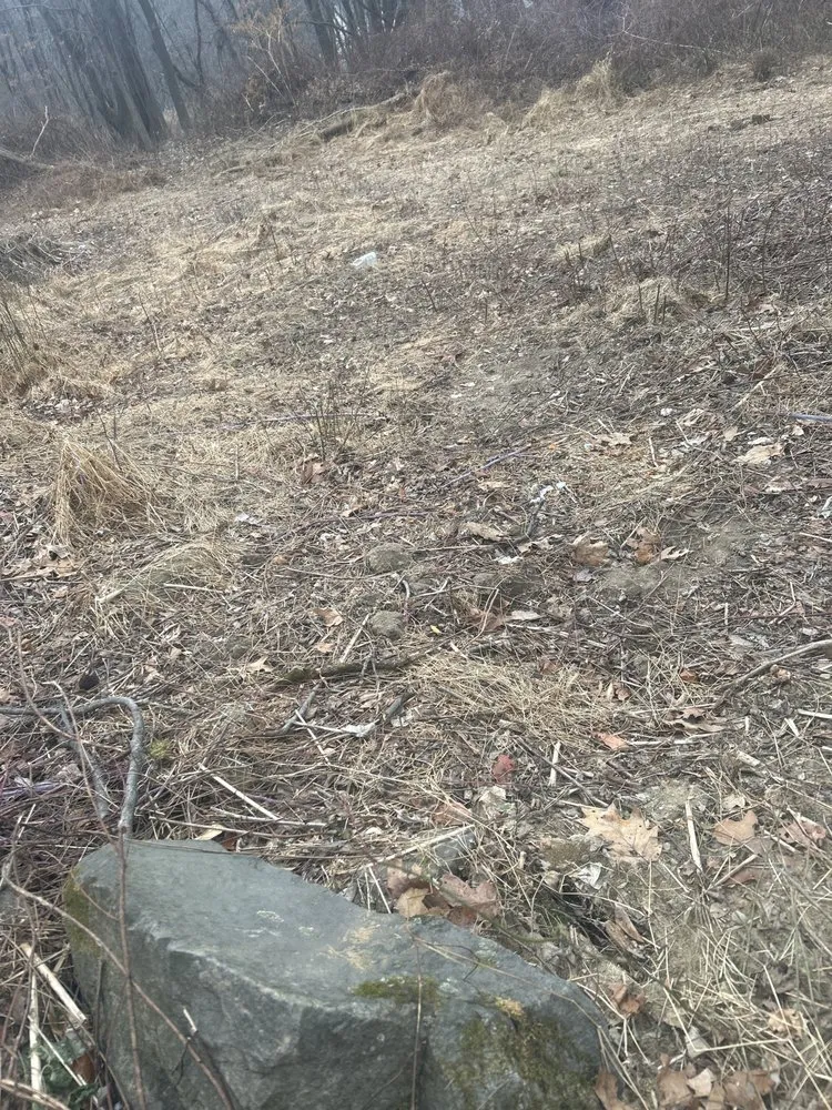 Trusted outdoor landscaping experts serving Port Ewen, NY - Georges all around