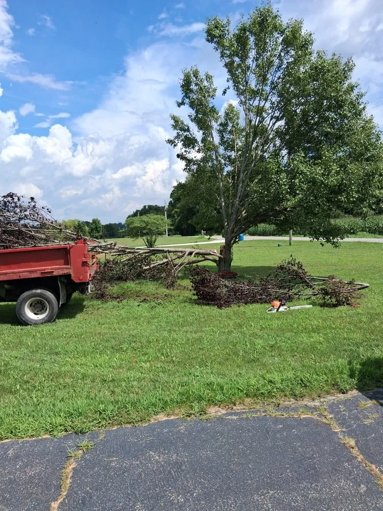Local landscaping services for year-round maintenance in Rolling Prairie, IN by Georges Landscape