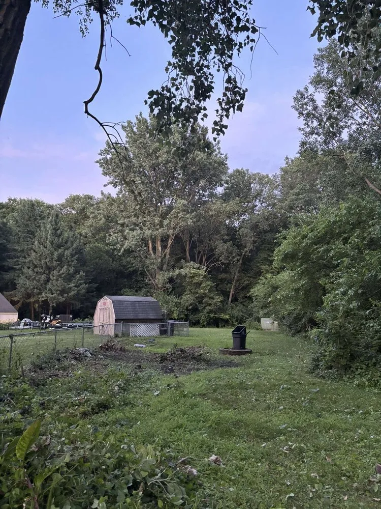 Affordable yard maintenance for residential properties across Rolling Prairie, IN - Georges Landscape