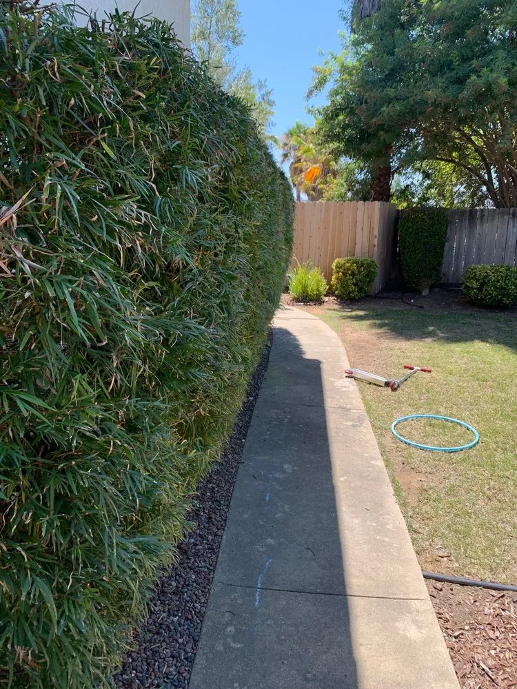 Trusted residential landscaping for residential properties across Vista, CA - George’s Landscaping & Maintenance