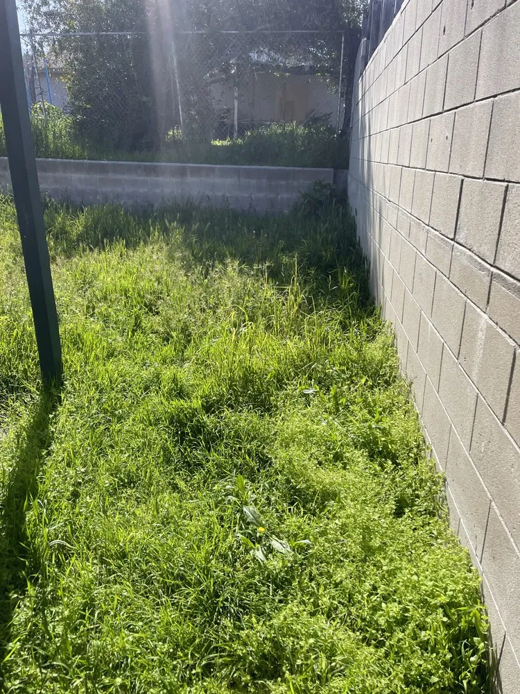 Expert lawn mowing service in Vista, CA - George’s Landscaping & Maintenance