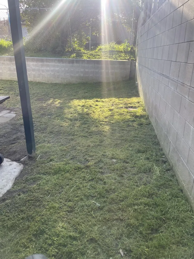 Affordable lawn mowing service in Vista, CA - George’s Landscaping & Maintenance