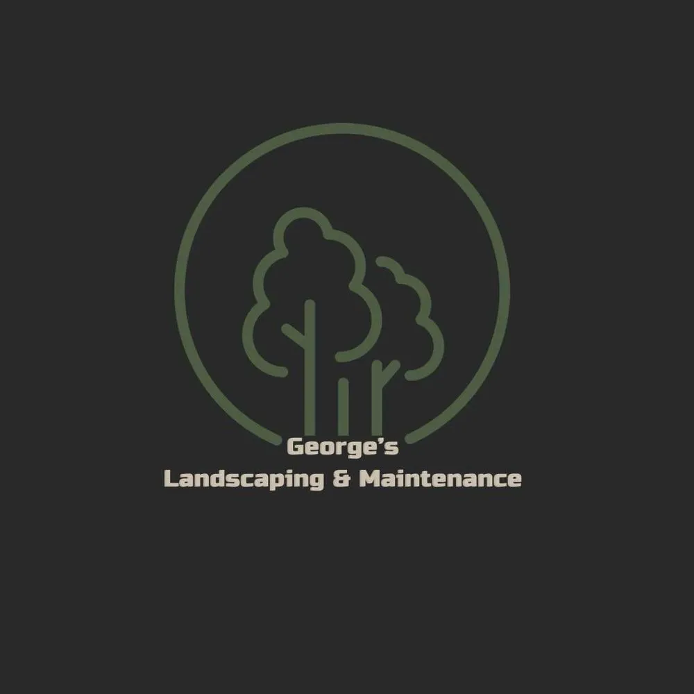 Top-rated residential landscaping in Vista, CA by George’s Landscaping & Maintenance