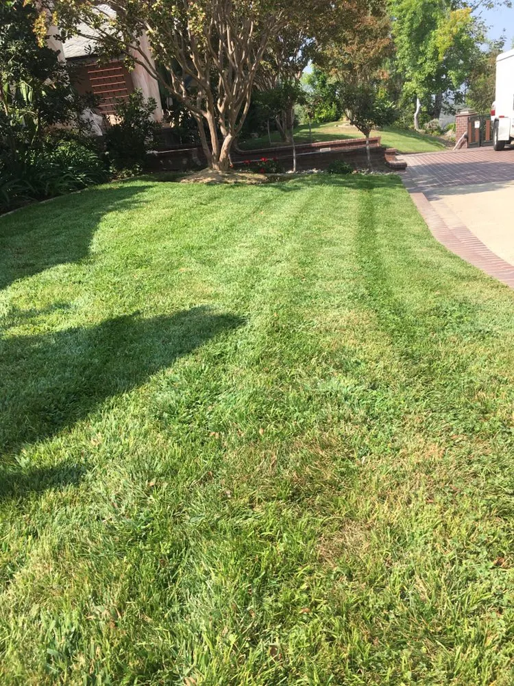 Trusted yard maintenance in Vista, CA - George’s Landscaping & Maintenance