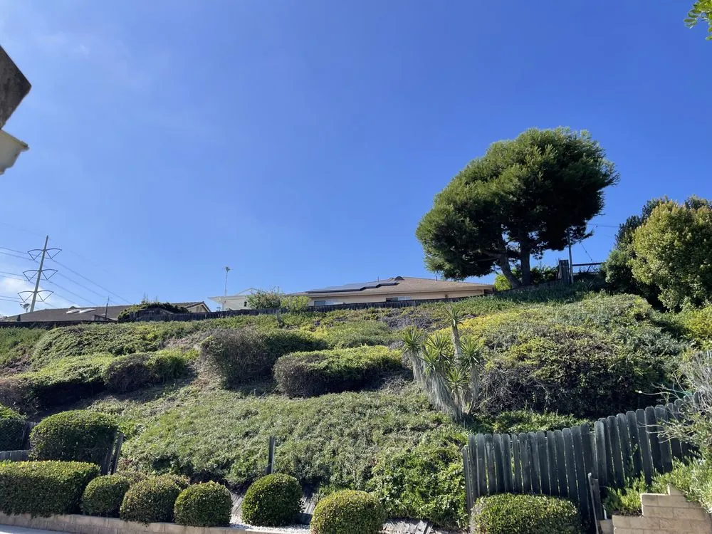 Trusted lawn care service for residential properties across Vista, CA - George’s Landscaping & Maintenance