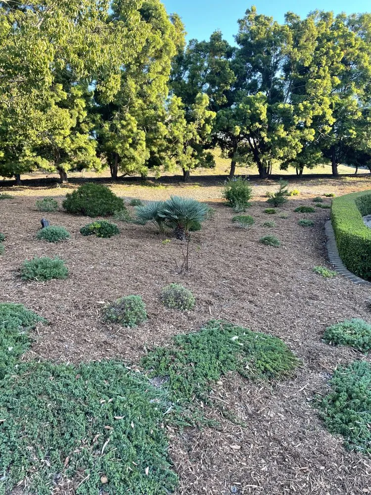 Professional outdoor landscaping for outdoor upgrades in Vista, CA by George’s Landscaping & Maintenance