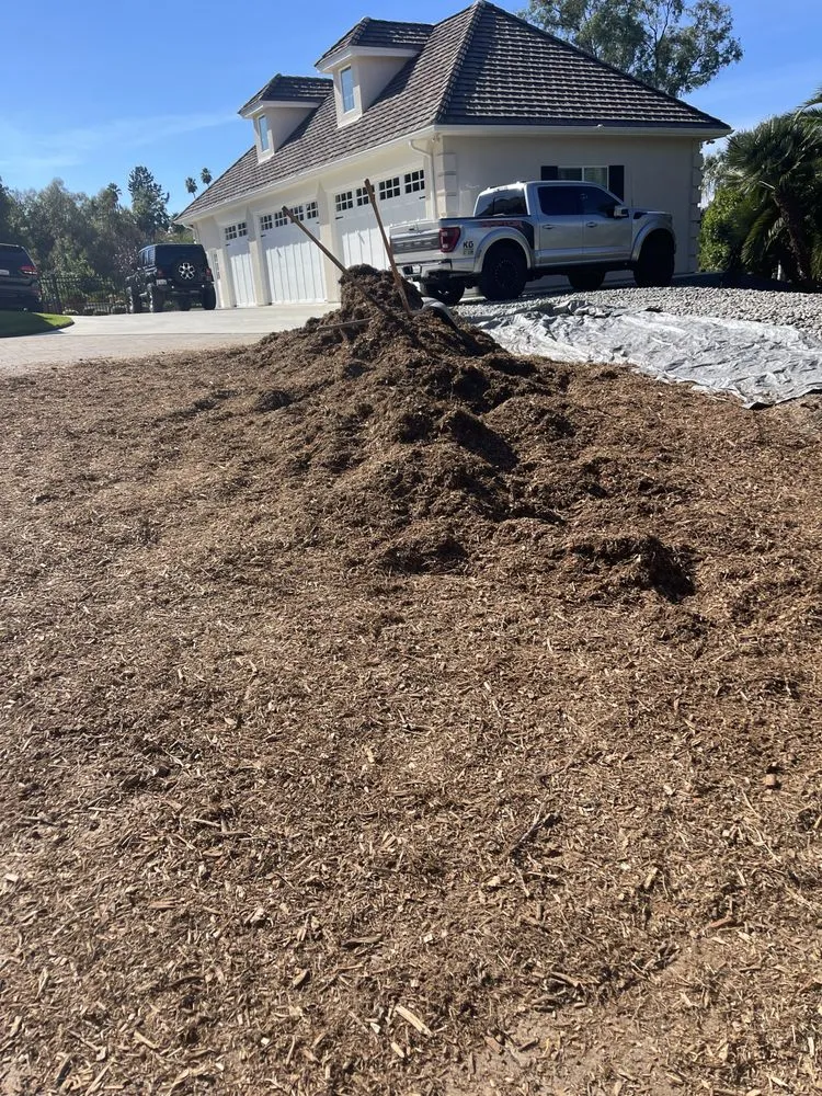 Reliable yard cleanup service experts serving Vista, CA - George’s Landscaping & Maintenance