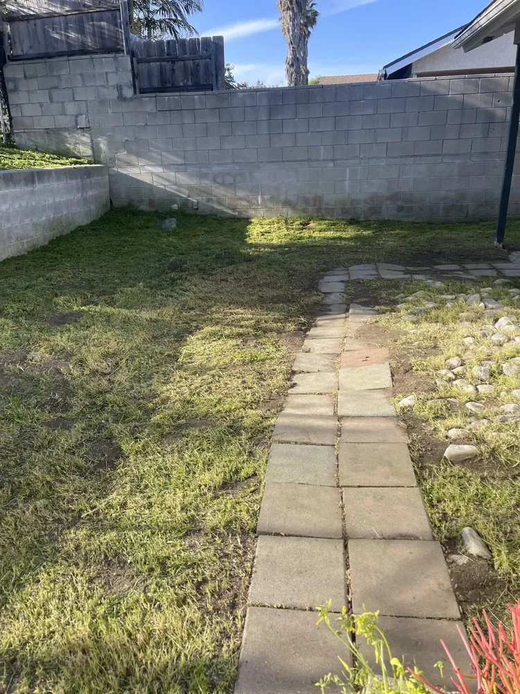 Reliable yard cleanup service in Vista, CA - George’s Landscaping & Maintenance