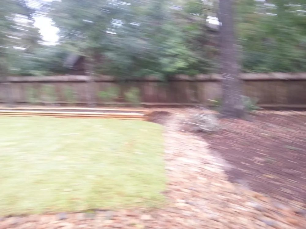 Professional yard cleanup service in Conroe, TX by George's Landscaping and Tree Service