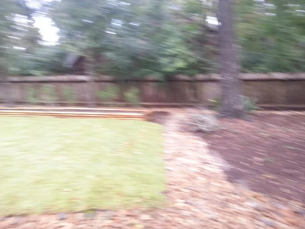 Custom landscape installation in Conroe, TX - George's Landscaping and Tree Service