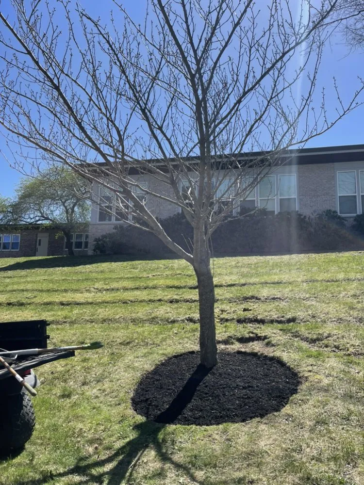 Expert residential landscaping in Framingham, MA - George’s Lawn Care