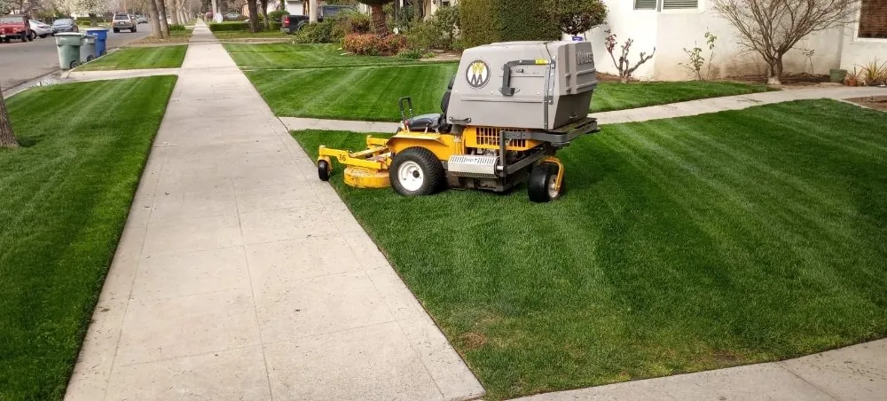 Reliable residential landscaping in Fresno, CA - George's Lawn Care Services