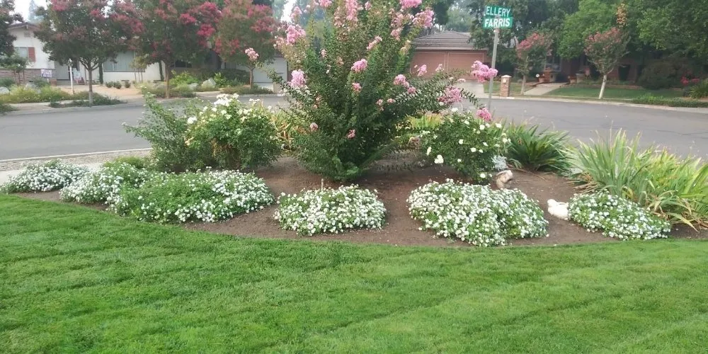 Top-rated outdoor landscaping for residential properties in Fresno, CA by George's Lawn Care Services