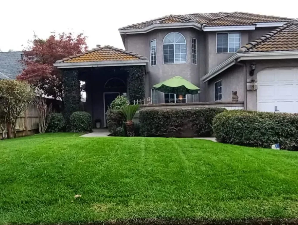 Trusted yard maintenance for residential properties in Fresno, CA by George's Lawn Care Services